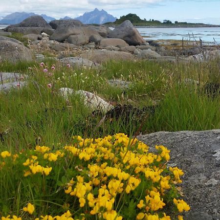 Lofotbo Vila Stamsund Exterior foto