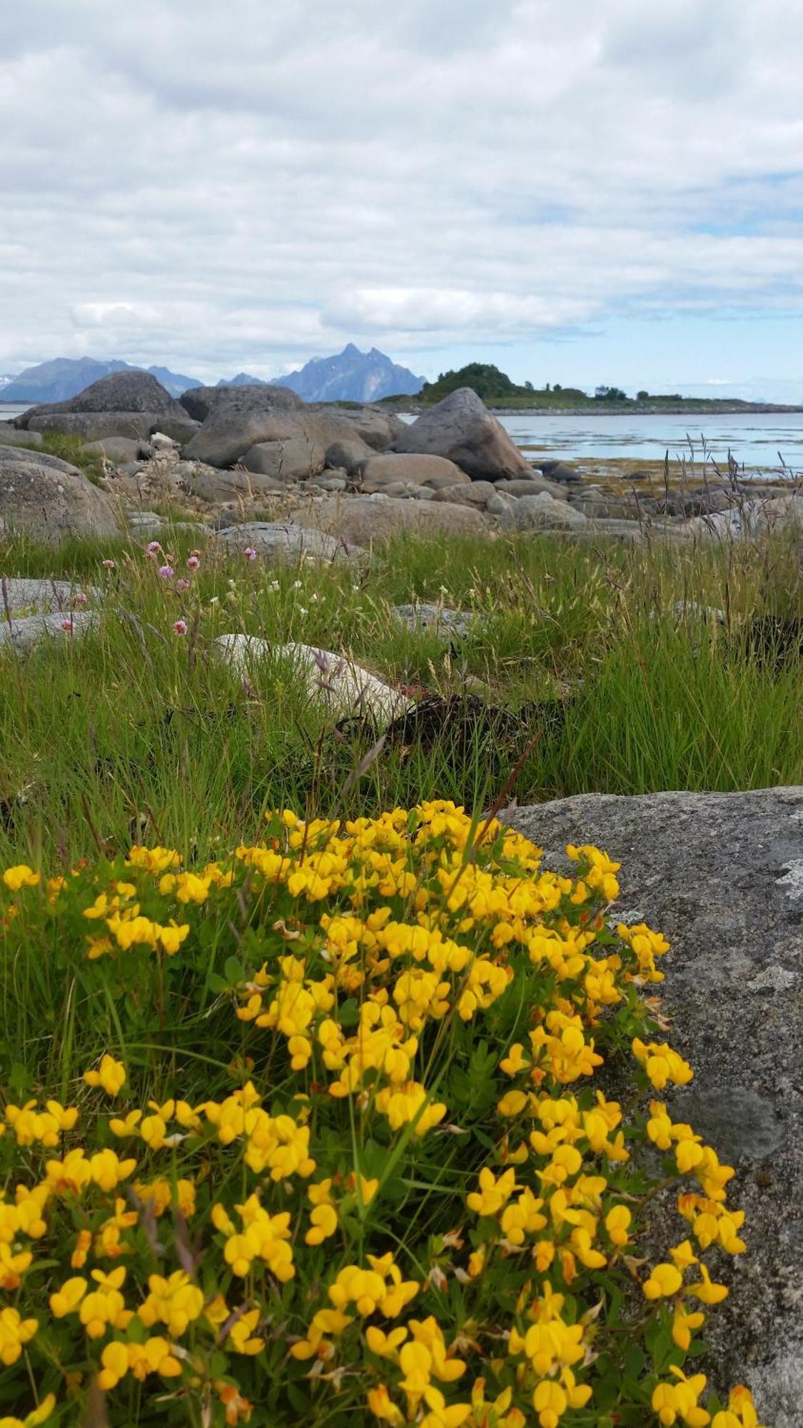 Lofotbo Vila Stamsund Exterior foto